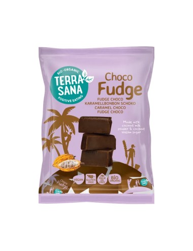 Fudge chocolate TERRASANA...